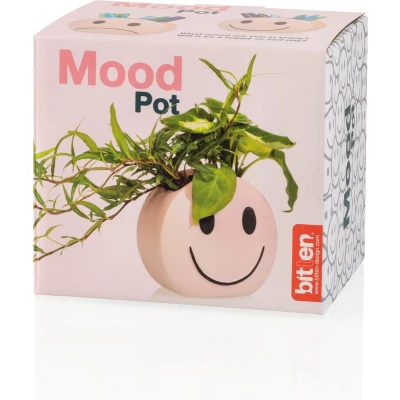 Afbeelding van Smile Potje Plat