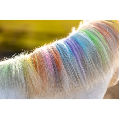 Afbeelding van Lucky Horse Haarkrijt Unicorn Regenboog