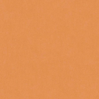 Afbeelding van EFFEN BEHANG Modern oranje A.S. Création Little Love