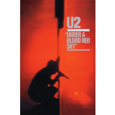 Afbeelding van U2 Live At Red Rocks (DVD)