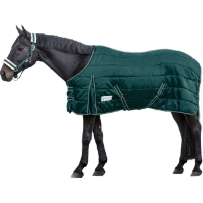 Afbeelding van Waldhausen Staldeken Economic 300g Spar Groen 135/185