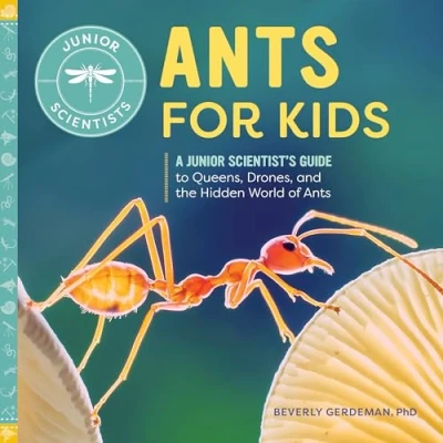 Afbeelding van Junior Scientists Ants for Kids