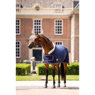 Image de HB Polar 400g Dutch Crown Show Rug