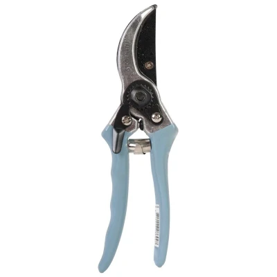 Afbeelding van Talen Tools Snoeischaar Takdikte: 20 mm Koolstofstaal Blauw