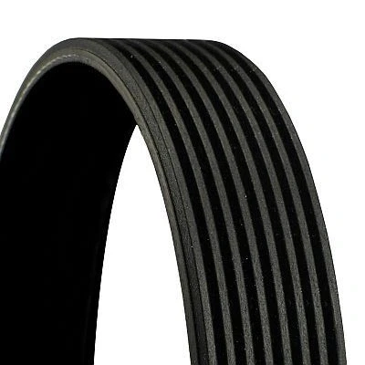 Afbeelding van Contitech Poly V riem 8PK1115