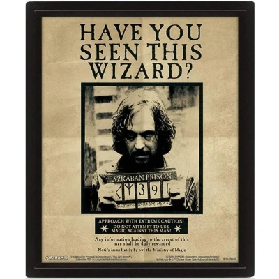 Afbeelding van Harry Potter Sirius 3D Lenticular Poster 28,7 x 23,5cm