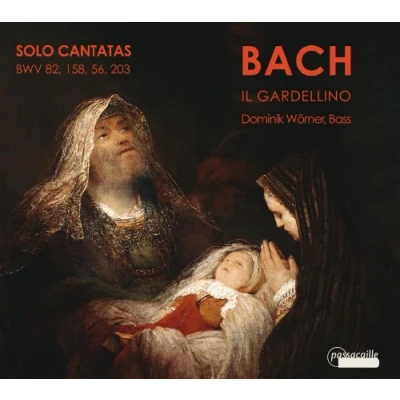 Afbeelding van Dominik Worner Bach; Il Gardellino Solo Cantatas (CD)