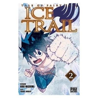 Image de Fairy Tail Ice Trail T02