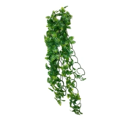 Afbeelding van Komodo Plant Split Philodendron 40 cm