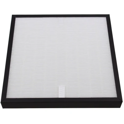 Afbeelding van DeLonghi AC100 Filter Actief koolstoffilter (EPA)