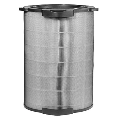 Afbeelding van Electrolux EFDFRH6 Luchtreinigerfilter