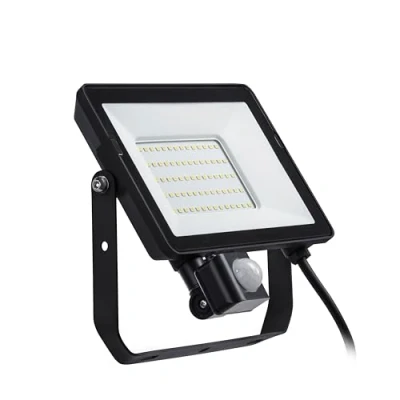 Image de Philips Projectline, projecteur 50W, 4000 Kelvin avec détecteur de mouvement