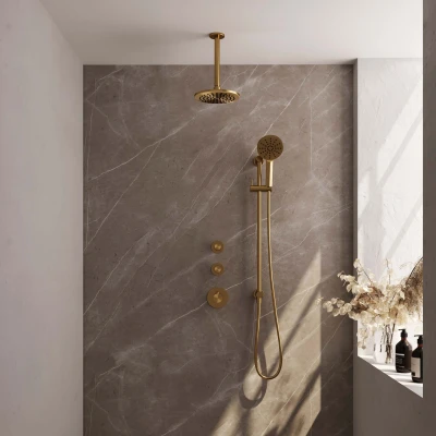 Afbeelding van Brauer Carving 20cm Plafondbuis 3 Standen handdouche Met glijstang Geborsteld goud PVD