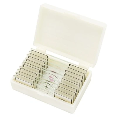 Afbeelding van Bresser Microscoop Voorgeprepareerde Preparaten 10 stuks