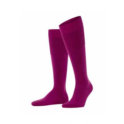 Afbeelding van Falke Airport KH Kniekousen Arctic pink, Heren, Maat: 43/44, pink