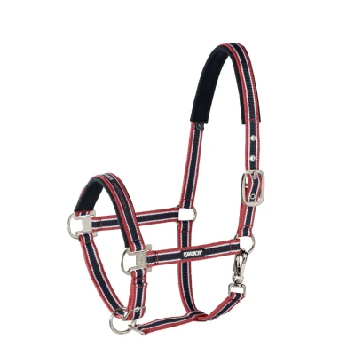 Image de Eskadron Halter pin buckle