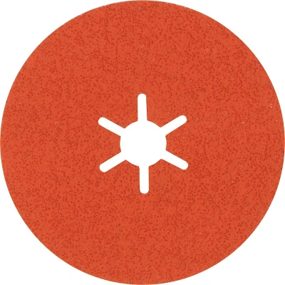 Afbeelding van Bosch Accessories 2608621817 Fiberschijf Diameter 100 mm Staal, RVS 25 stuk(s)