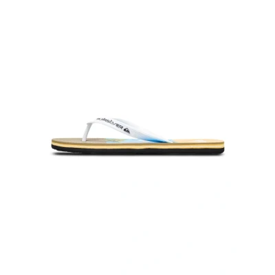 Afbeelding van Quiksilver Molokai Stripe 25 Teenslippers, Heren, Maat: 41, Blq6 Kunststof