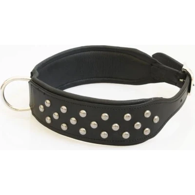 Afbeelding van Hondenhalsband extra breed gevoerd met noppen 60 cm zwart