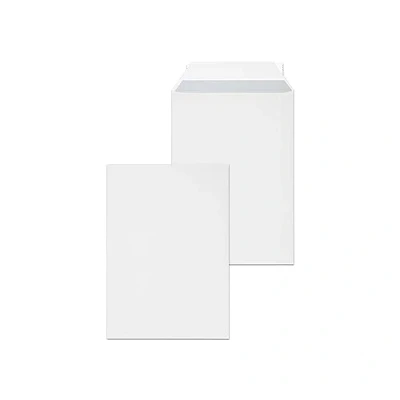 Afbeelding van Raadhuis akte envelop 162x229mm C5 wit met plakstrip 10 stuks RD 303560