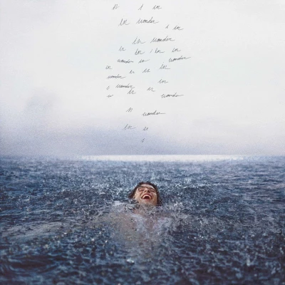 Afbeelding van Shawn Mendes Wonder (LP)