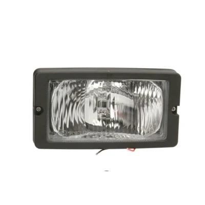 Afbeelding van DT Spare Parts 1.21285 Grootlicht