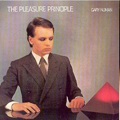 Afbeelding van The Pleasure Principle