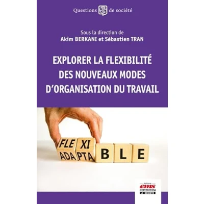 Afbeelding van Explorer la flexibilite des nouveaux modes d&#039;organisation