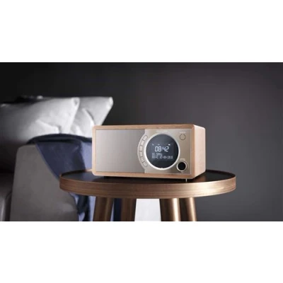 Image de Sharp DR 450(BR) Radio Portable Horloge Marron Radios Portables (Horloge DabDab+FM 3 W LCD Uniforme)