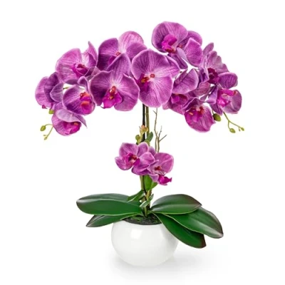 Afbeelding van PASCH® Orchidées artificielles dans un pot en céramique brillante (40 cm) Fleurs comme de vraies