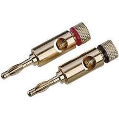 Afbeelding van High End Luidsprekerconnector Stekker, recht Aantal polen: 1 Goud 2 stuk(s)
