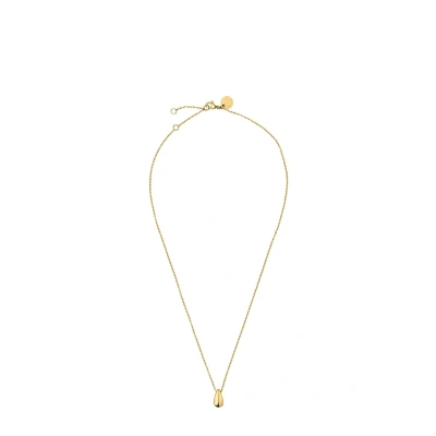 Afbeelding van Liebeskind Berlin LJ 1639 N 45 IP gouden roestvrijstalen ketting, cm, Roestvrij staal, Geen edelsteen, edelsteen