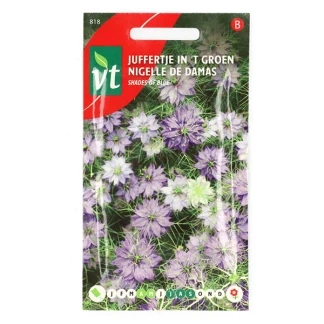 Afbeelding van Juffertje in &#039;T Groen, Nigella diverse blauwe kleuren.