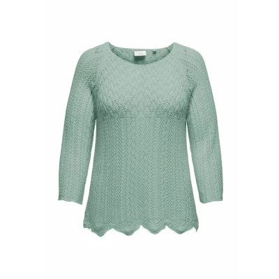 Afbeelding van Only Carmakoma CARNOLA LIFE 3/4 PULLOVER KNT NOOS Jadeite