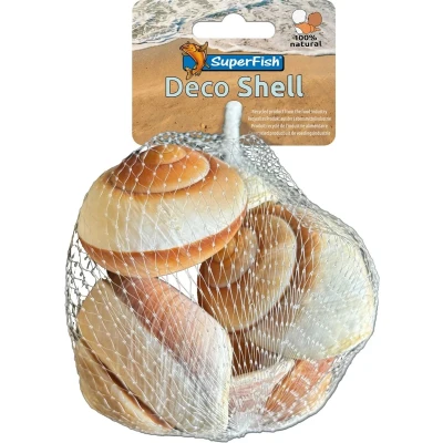 Afbeelding van Superfish Decoratie schelpen Bruin Wit Slakkenhuizen
