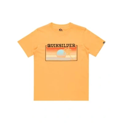 Afbeelding van Quiksilver Ev Sun Faded Yth T shirt voor jongens (1 stuk)