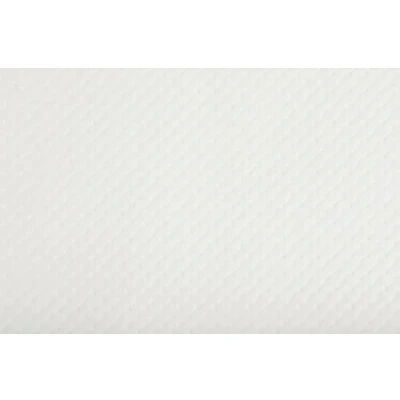 Afbeelding van Tafelmat voor eenmalig gebruik Wit 300x400mm (500 stuks)