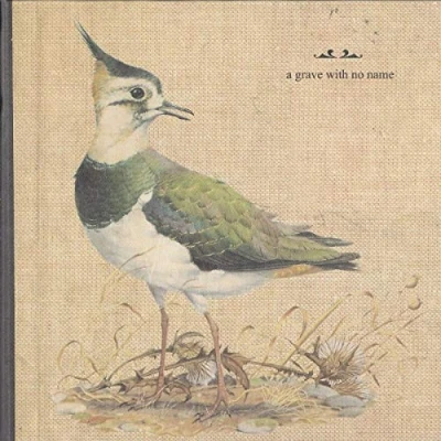 Afbeelding van A Grave With No Name Feathers Wet Under The..