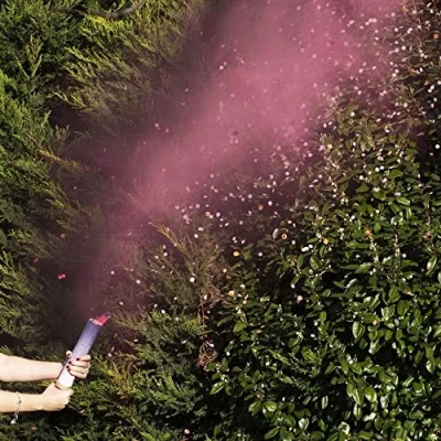Afbeelding van Ginger Ray Roze rookkanon met confetti voor babyshower