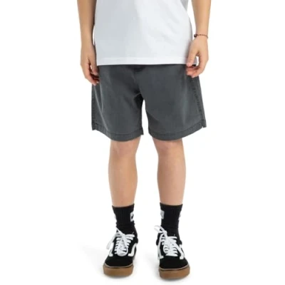 Afbeelding van Quiksilver Taxer Youth Shorts Jongens (1 stuk)