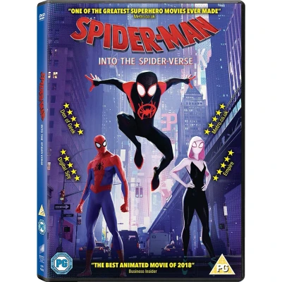 Afbeelding van Spider man Into The verse