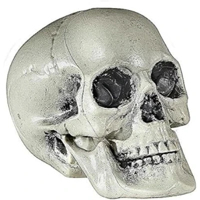 Afbeelding van Schedel Van Pvc 21Cm One Size