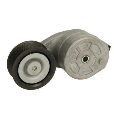Afbeelding van DAYCO APV2737 Riemspanner