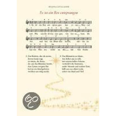 Afbeelding van Wir singen die schönsten Weihnachtslieder