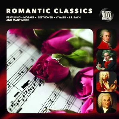 Afbeelding van Various Artists Romantic Classics (LP)