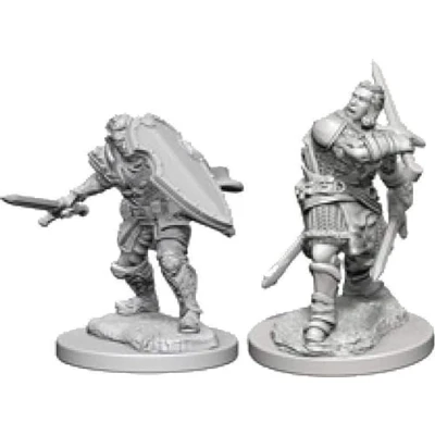 Afbeelding van Human Male Paladin: D&amp;D Nolzur&#039;s Marvelous Unpainted Miniatures