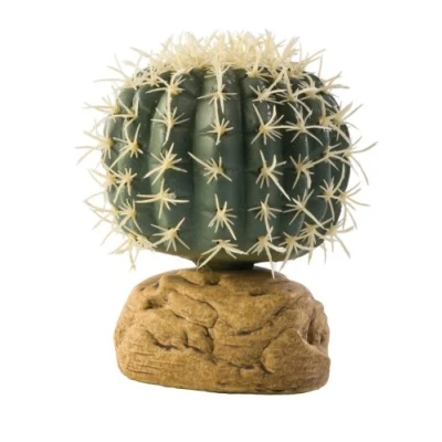 Afbeelding van Exo Terra Cylinder Cactus Small Terrarium Deocatie 7 x 9,5 cm