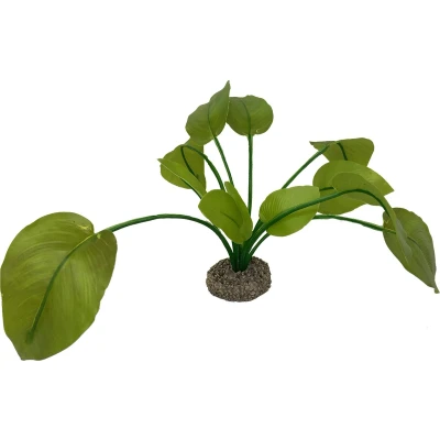 Afbeelding van Aqua Della Aquariumplanten (voeding) Vissen Anubias 2 17cm Groen 1st