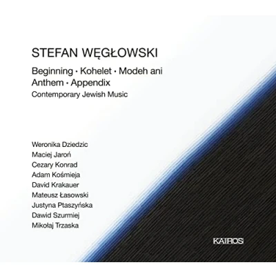 Afbeelding van Various Artists Contemporary Jewish Music (CD)