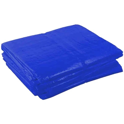 Afbeelding van Afdekzeil Gardalux 3 x 4 m (75 gr/ m², Blauw, Waterdicht)